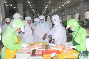 自治区政协调研组到合浦县开展 依托海产品资源优势发展海产品深加工业 调研